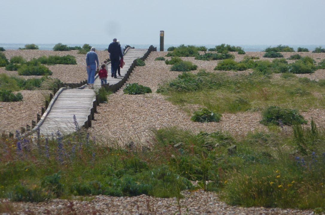 A boardwalk across the shingle at Dungeness